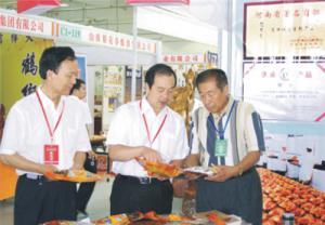 原安陽市市長董永安、副市長陳明今到公司調(diào)研